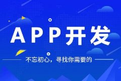 開發(fā)一個app多少錢？