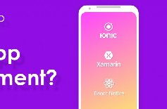 為什么要定制APP開發(fā)，APP開發(fā)定制的好處？